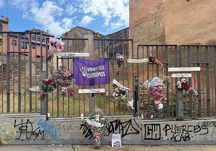 El novio de Concha, la granadina asesinada en Málaga declara que su ex la acosaba y llamaba con insistencia